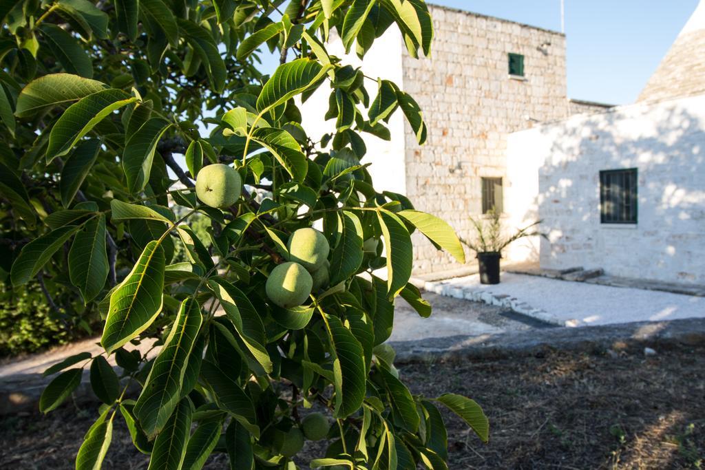 Maison Milleottocento Cisternino Buitenkant foto